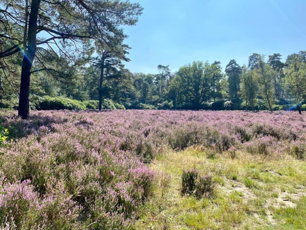 Kom Tot Rust In The Forest Putte Buitenkant foto