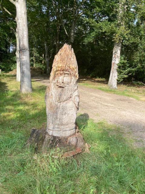 Kom Tot Rust In The Forest Putte Buitenkant foto
