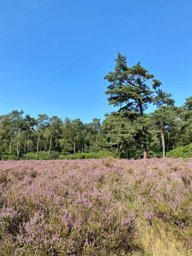 Kom Tot Rust In The Forest Putte Buitenkant foto