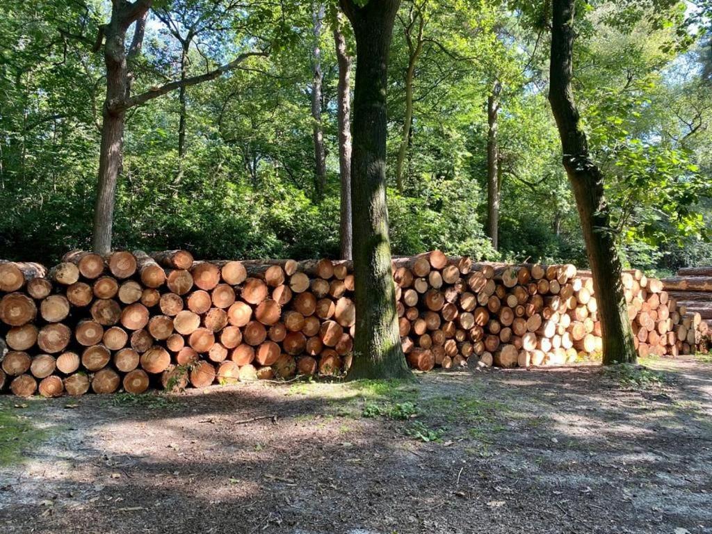 Kom Tot Rust In The Forest Putte Buitenkant foto