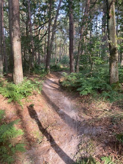 Kom Tot Rust In The Forest Putte Buitenkant foto
